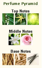 CHANEL N5 Eau Premiere - Image 3