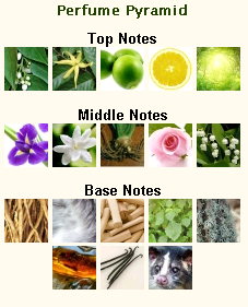 CHANEL N°5 Eau De Toilette - Image 2