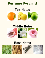 CHANEL Coco Mademoiselle EDT - Image 2