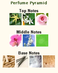 CHRISTIAN DIOR Hypnotic Poison Eau Sensuelle - Image 3