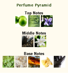 Gucci By Gucci Pour Homme - Image 2