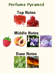 GUCCI Guilty Black Pour Femme - Image 2