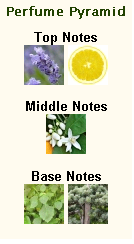 GUCCI Guilty Pour Homme - Image 2