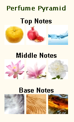 VERSACE Bright Crystal - Image 3