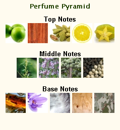 VERSACE Man Eau Fraiche - Image 2