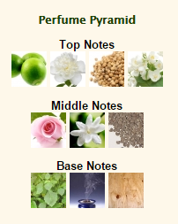 TOM FORD White Patchouli - Image 3