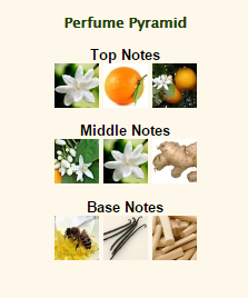 GIORGIO ARMANI Armani Code - Image 2