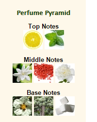 GIORGIO ARMANI Acqua di Gioia - Image 2