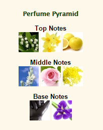 HERMES Un Jardin Sur Le Toil - Image 2