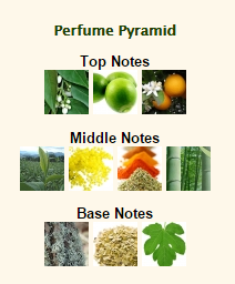 BY KILIAN Bamboo Harmony - Image 2