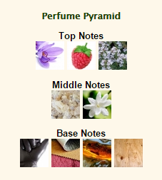 TOM FORD Tuscan Leather - Image 4