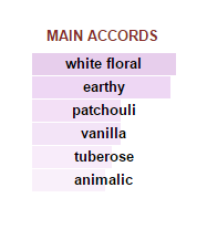 VALENTINO Valentina Assoluto - Image 4