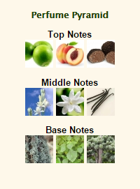 VALENTINO Valentina Assoluto - Image 2