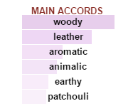 GUCCI Guilty Absolute Pour Homme - Image 4