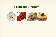 ARMANI PRIVE Bois d'Encens Eau De Parfum - Image 3