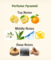 GIORGIO ARMANI Acqua Di Gioia Eau Fraiche - Image 4