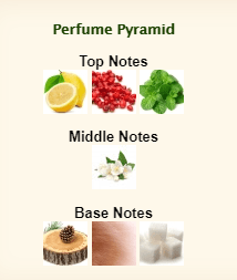 GIORGIO ARMANI Acqua Di Gioia Essenza - Image 3