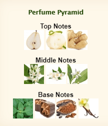 GIORGIO ARMANI Code Satin - Image 4