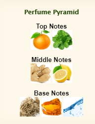 Code Sport Eau De Toilette - Image 5