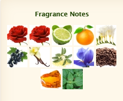 GIORGIO ARMANI Si Rose Signature - Image 4